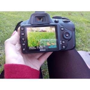 #nikonretobloggers compisdemoda 32