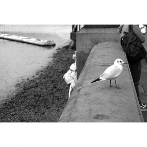 #nikonretobloggers compisdemoda 8