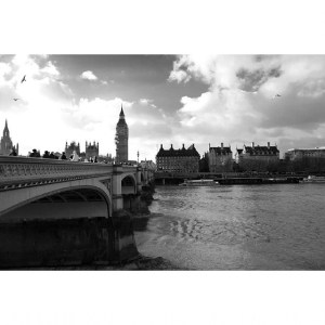 #nikonretobloggers compisdemoda 9